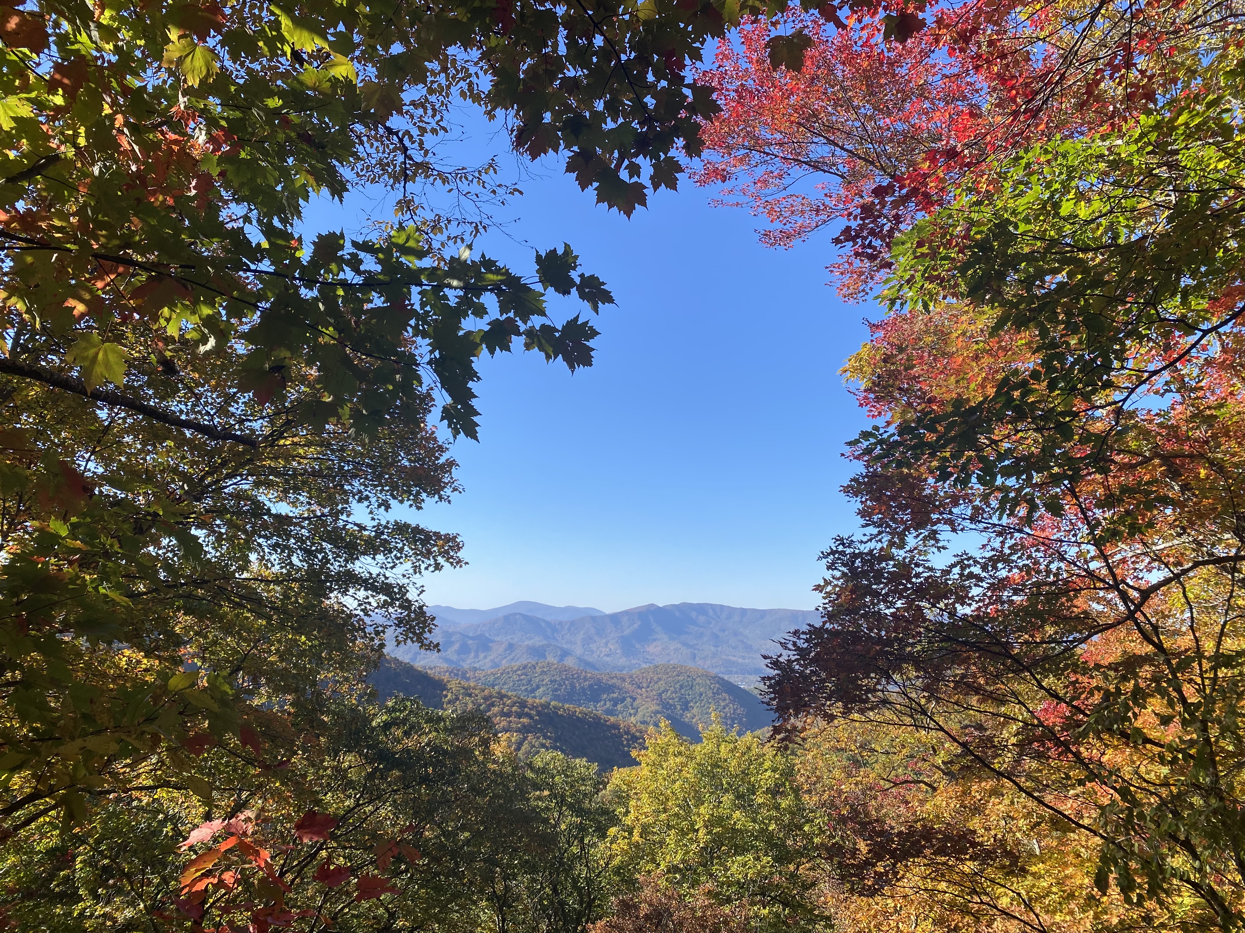 The Best 8 Hikes in Asheville, North Carolina