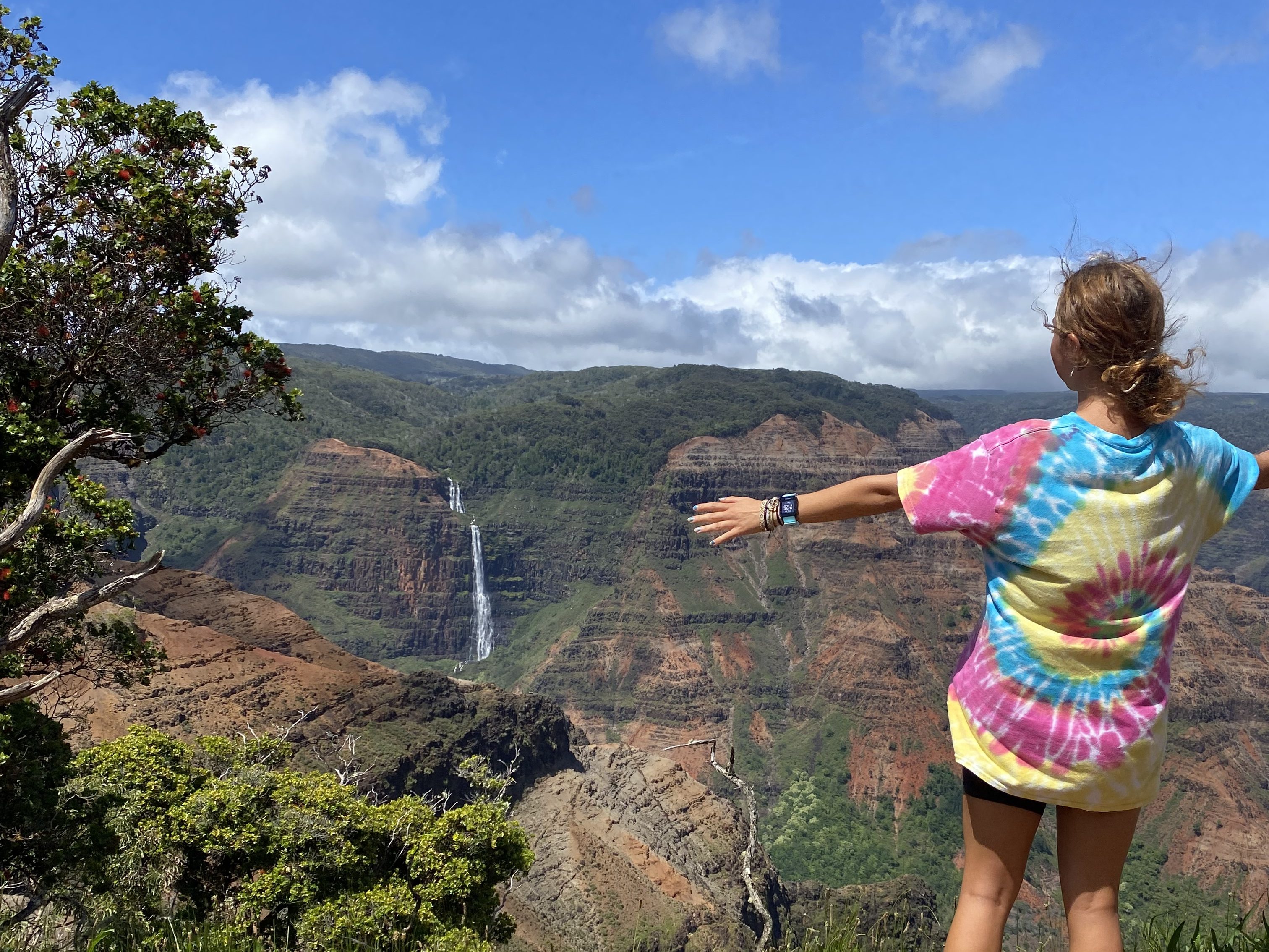How to Visit Kauai on a Budget