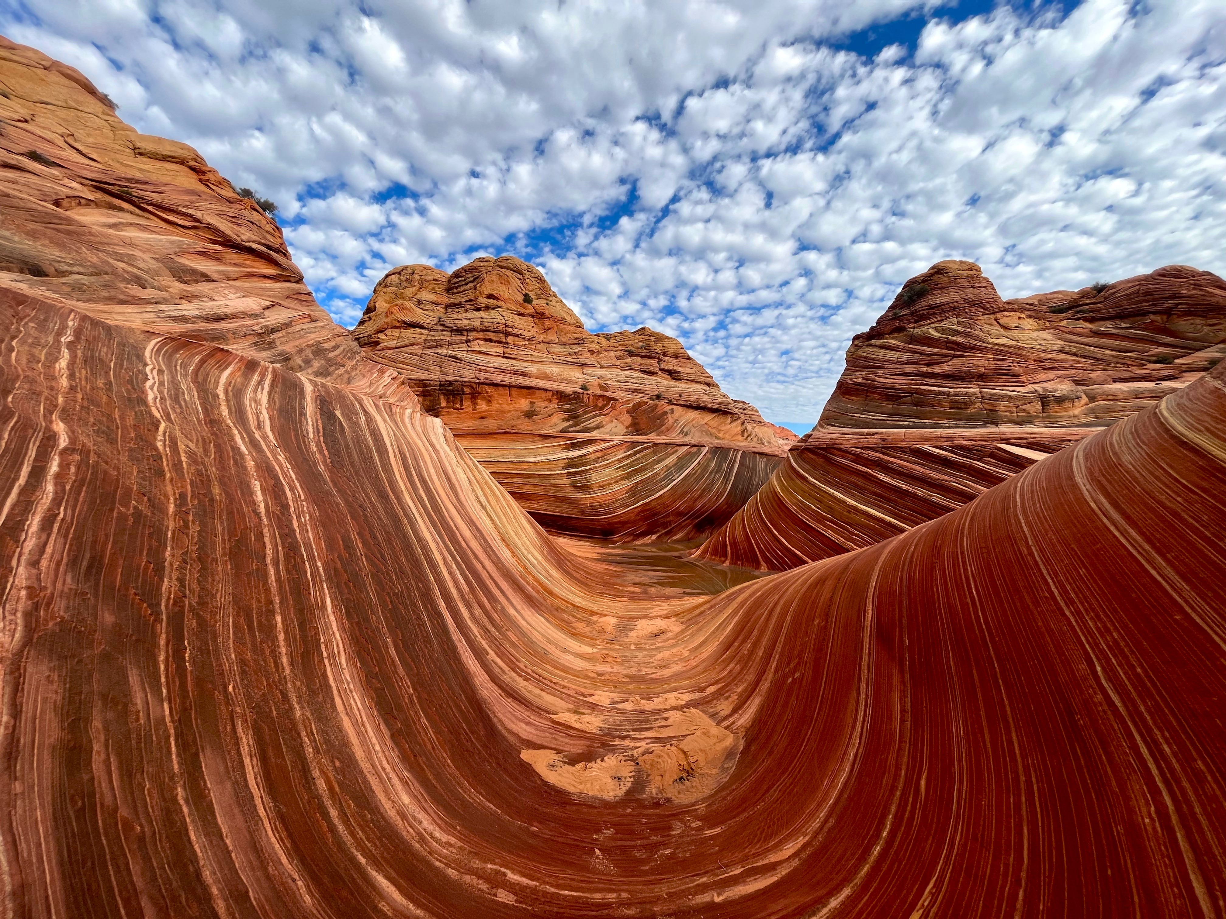 12 Tips for Hiking The Wave in Summer