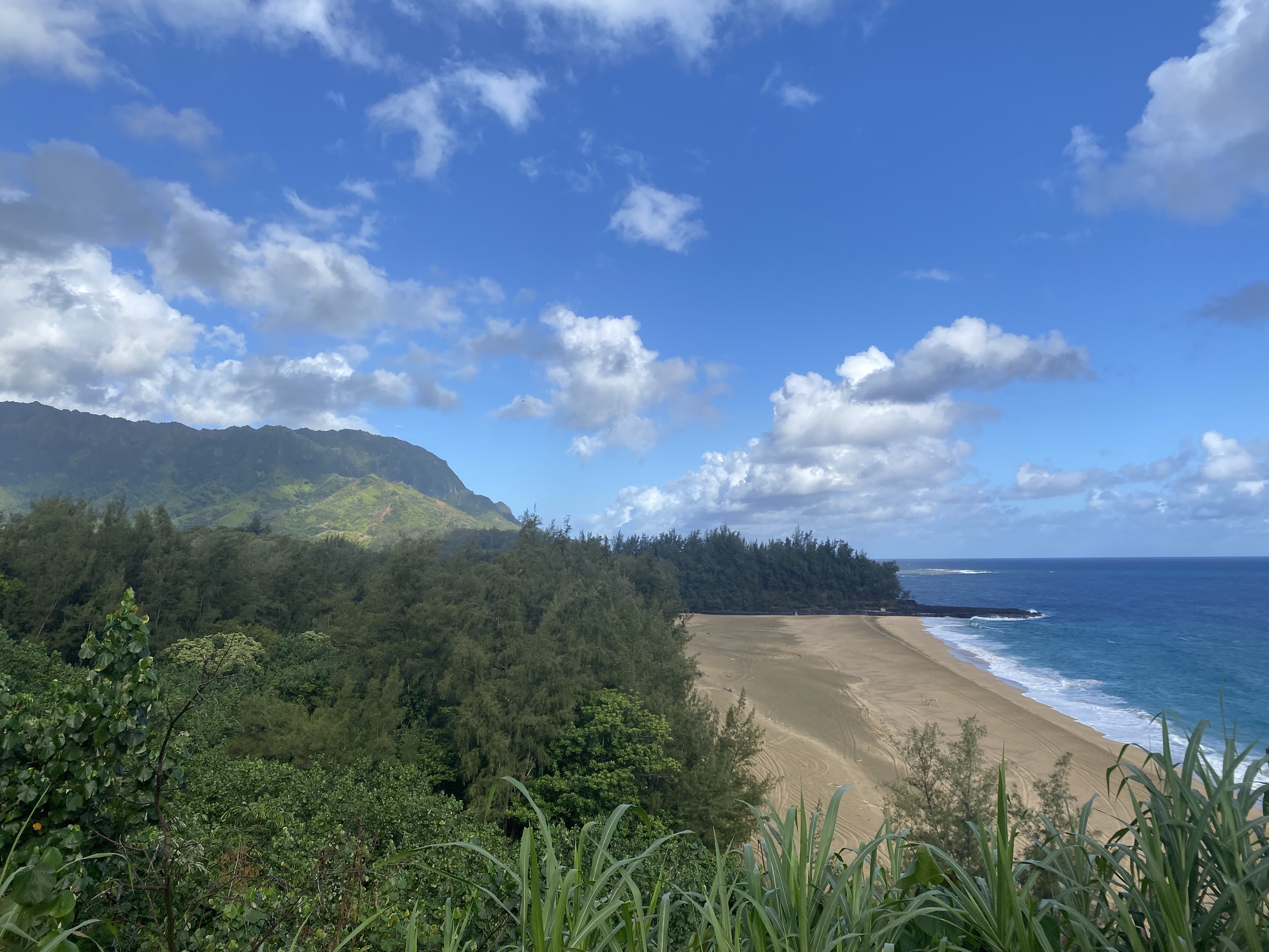 The 4 Best Beaches to Visit in Kauai, Hawaii