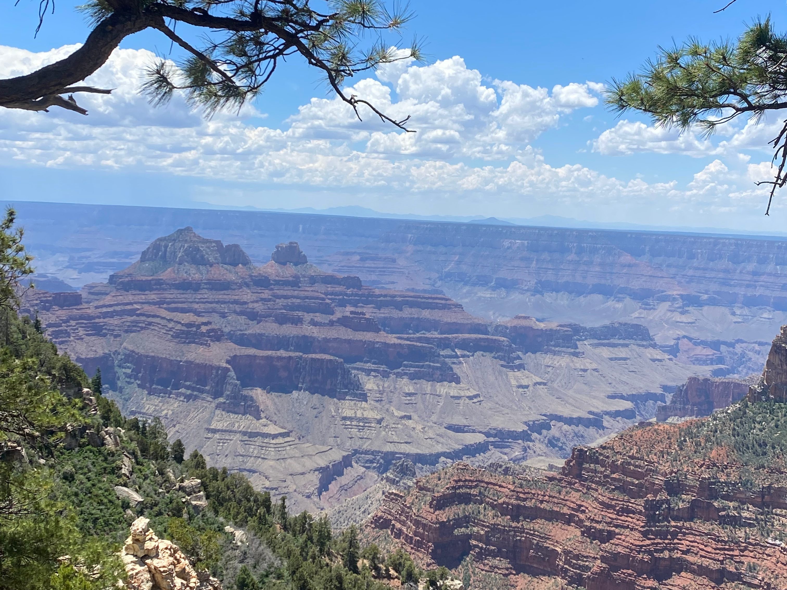 The Best 10 Things to Do at the North Rim Grand Canyon - Soul Summit Travel