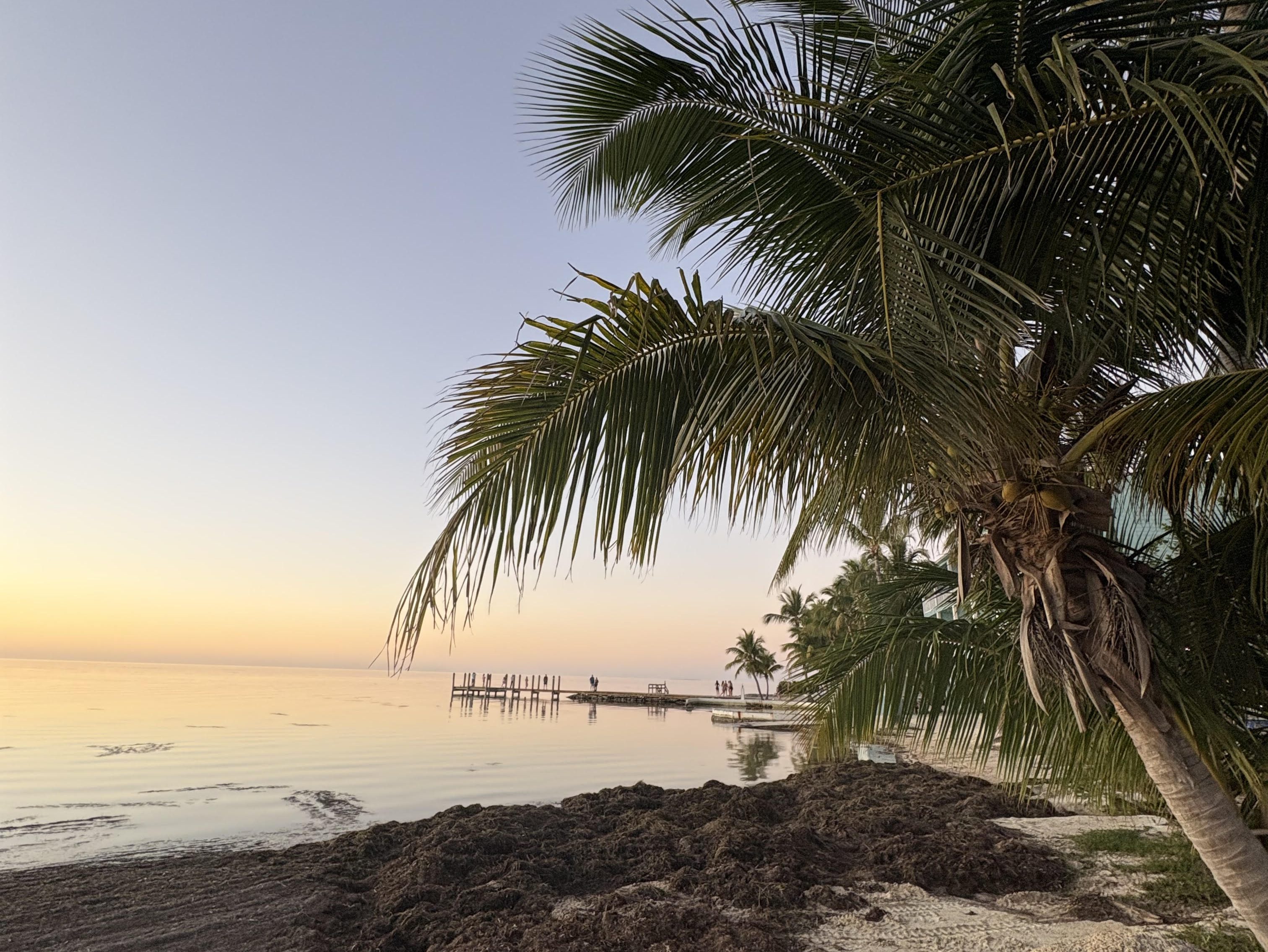 How to Spend 1 Day in Key West on a Budget