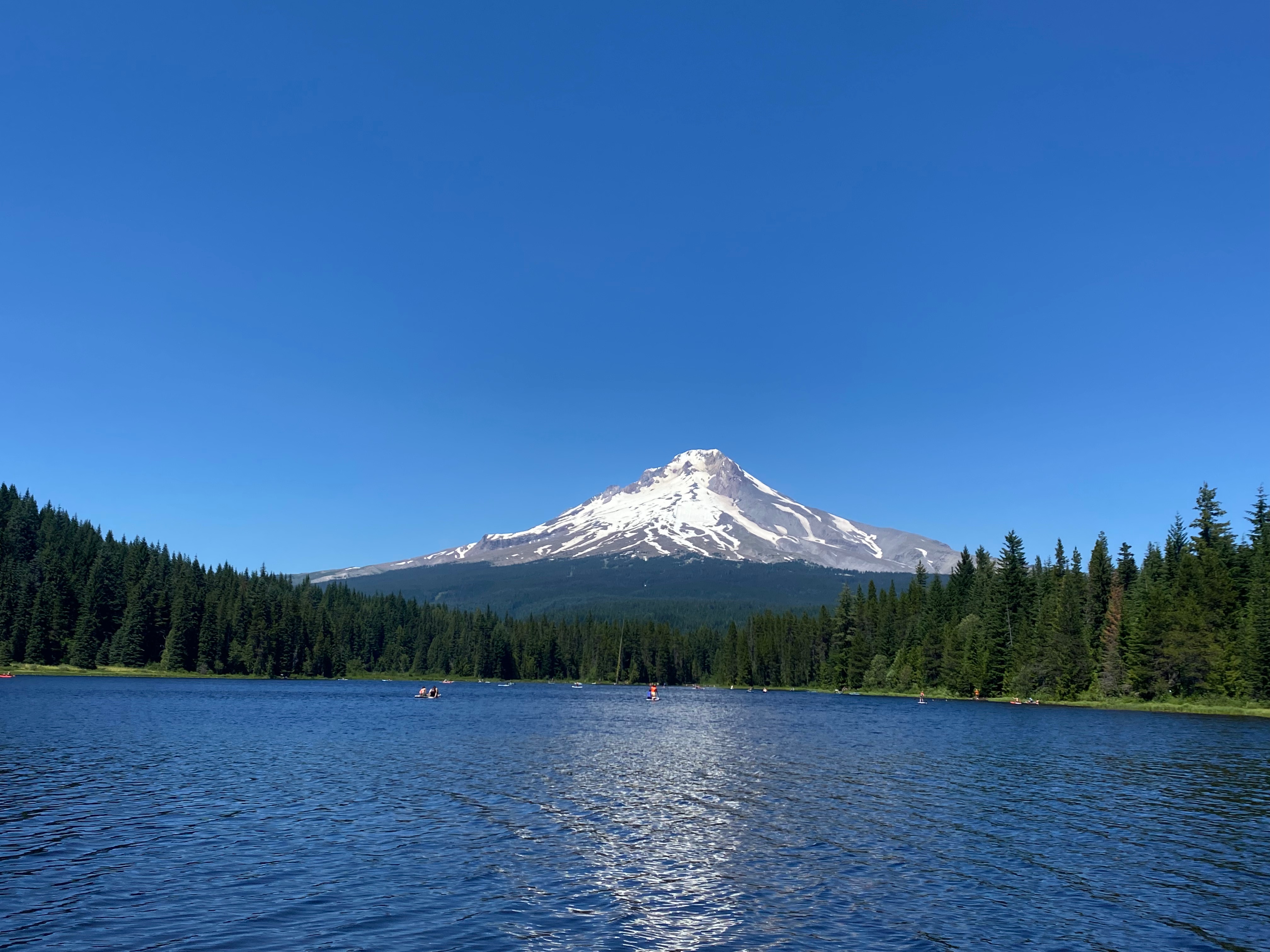 The Perfect 7 Day Portland Oregon Itinerary