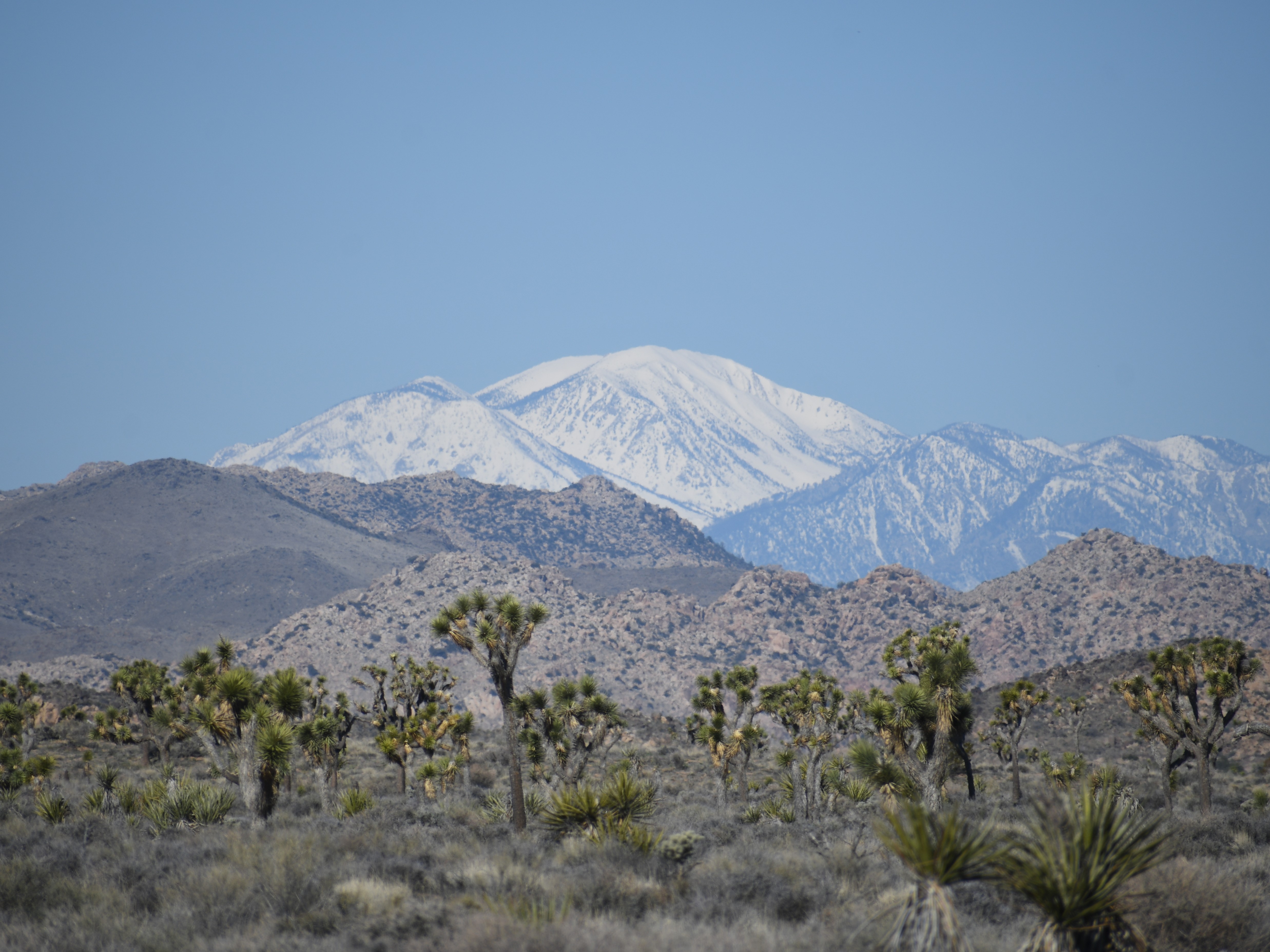 The 8 Best Hikes in Joshua Tree National Park