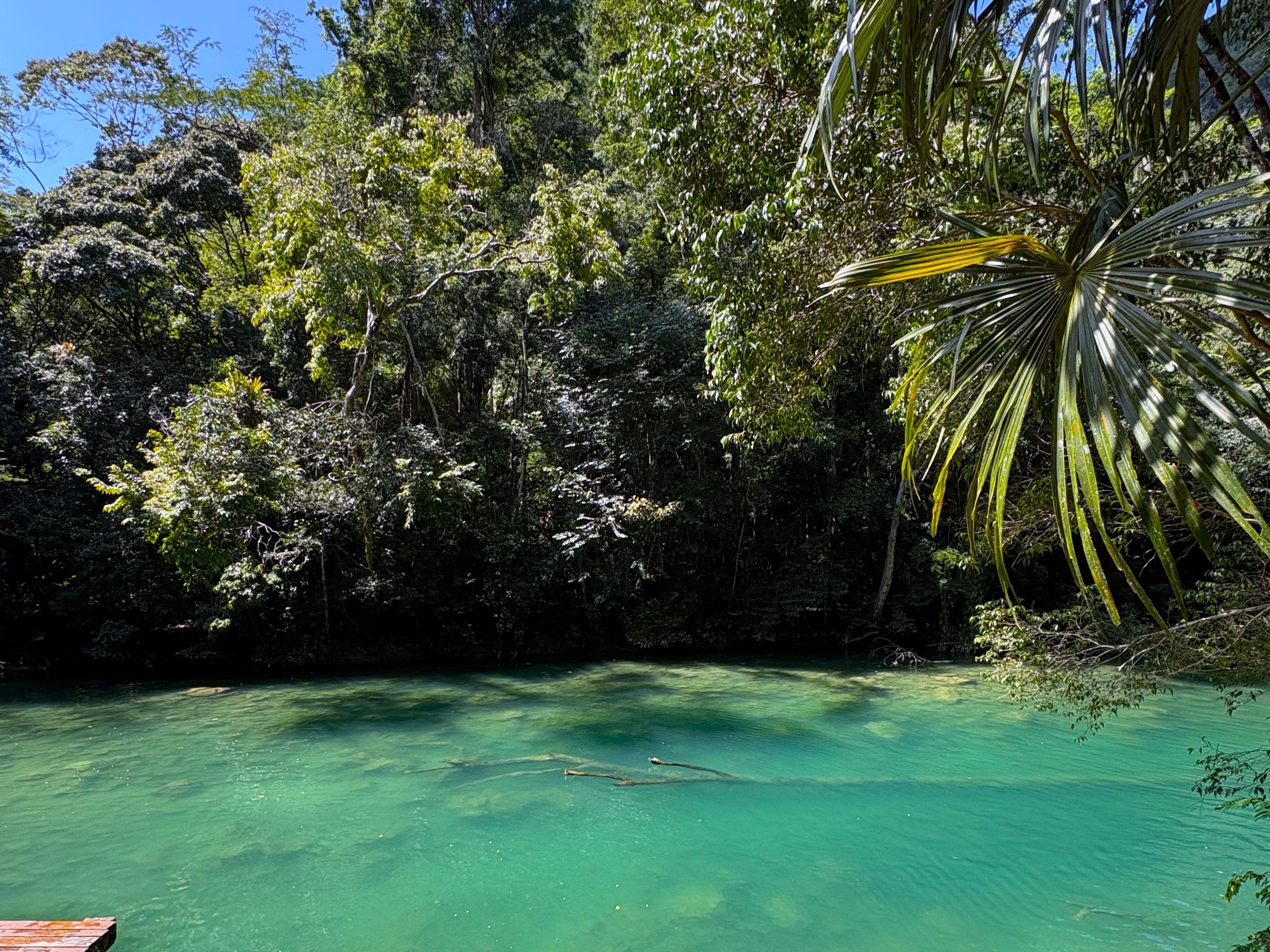 Blue Creek Visitor’s Guide: A Belize Hidden Gem